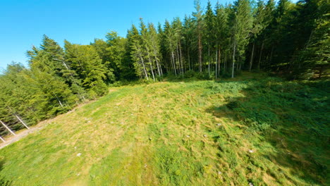 Aerial-over-Open-Area,-Diving-Inside-Bois-du-Jorat-Surrounded-With-Verdant-Trees-On-A-Sunny-Summer-Day-In-Switzerland