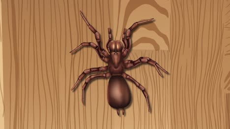 a spider moves across a wooden background