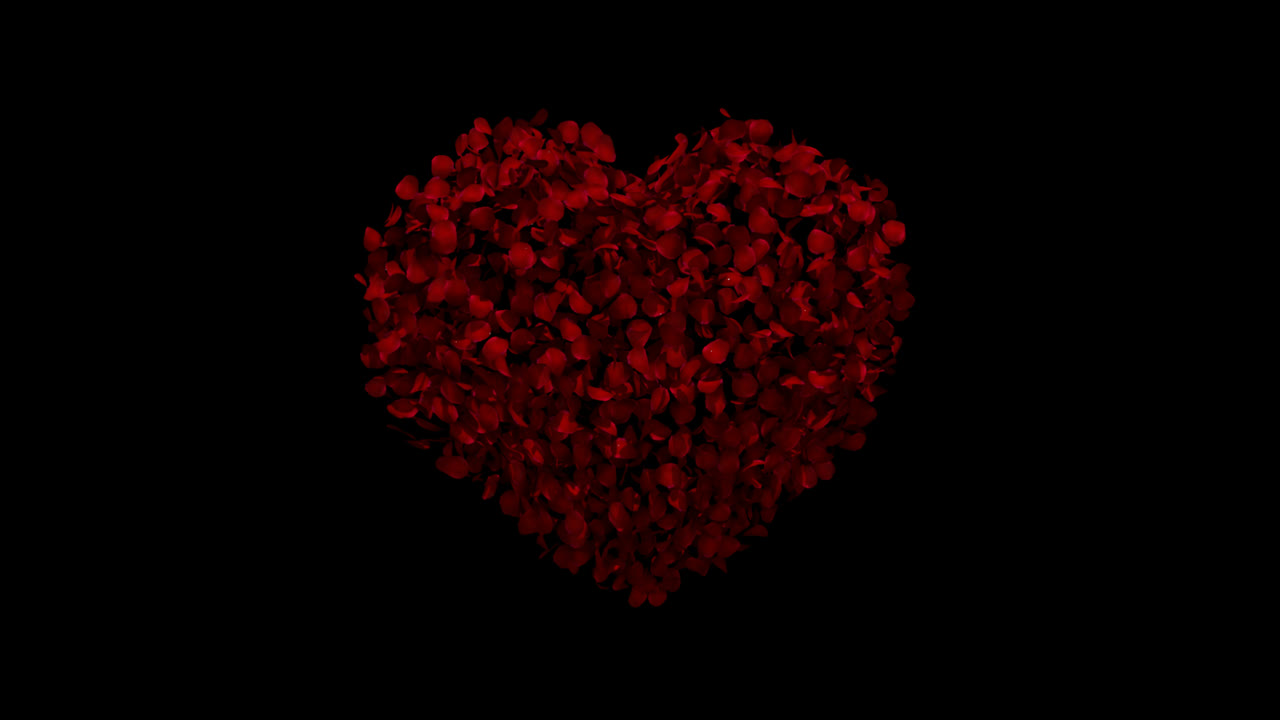 El corazón de los pétalos de la rosa roja