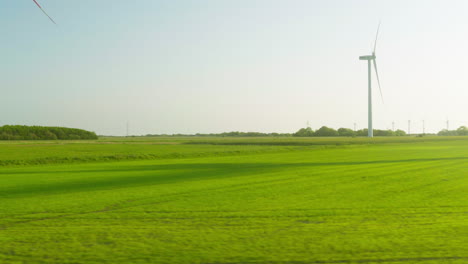 sunlit green fields and wind turbines passing by