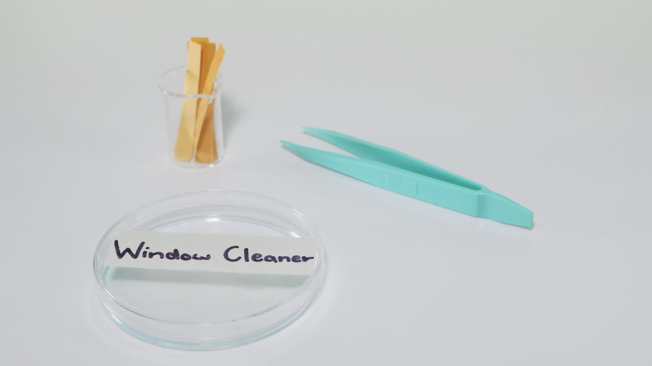 장갑을 쓴 손으로 테스트하는 윈도우 클리너 페트리 접시