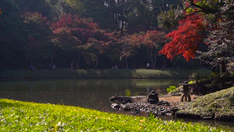 view out on beautiful pond in koishikawa korakuen gardens in tokyo during fall