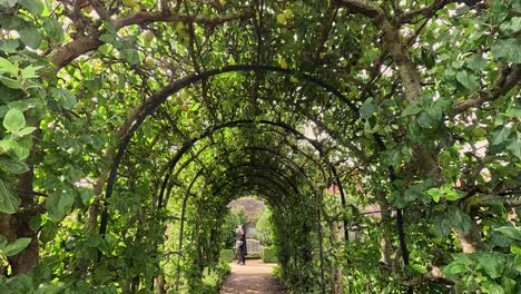 person walking through a lush green archway