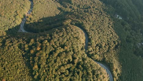 aerial tilt down drone shot of cars driving on a winding heart-shaped mountain road in the middle of an autumn coloured forest