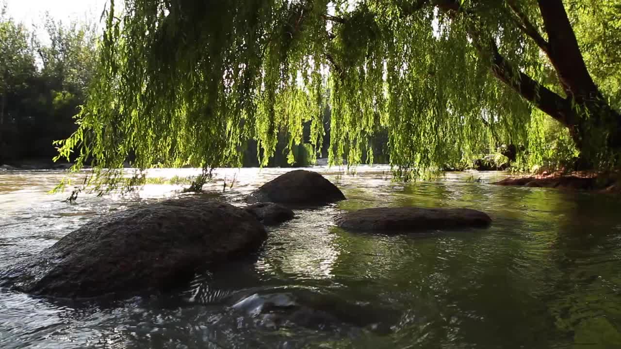 자유 국가의 강, 남아프리카 공화국
