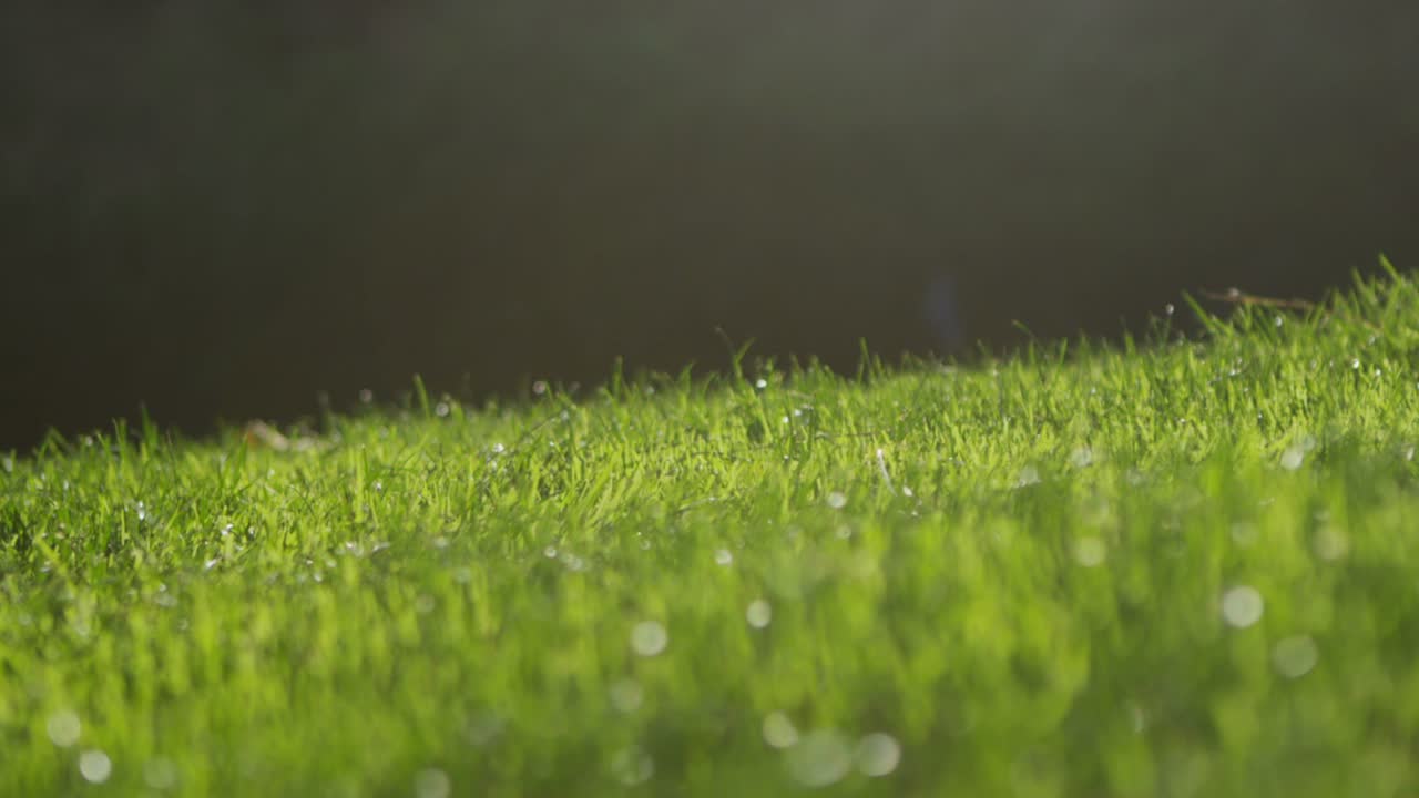 primer plano de hierba recortada en un campo de golf con montañas en el fondo
