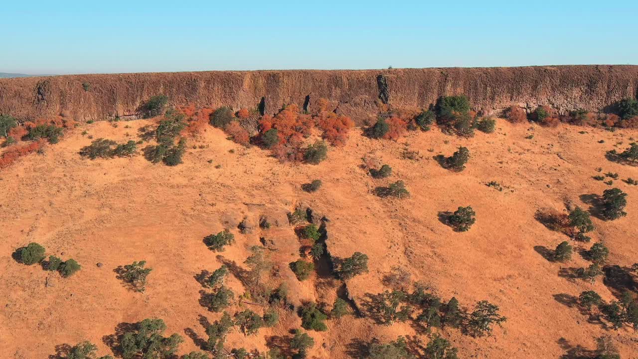 이 좋은 날 에 평평 한 산 의 언덕 에 있는 나무 들