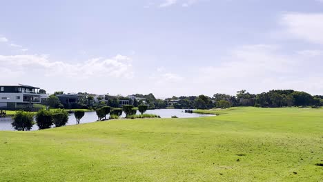 lush greenery and waterfront homes in gold coast