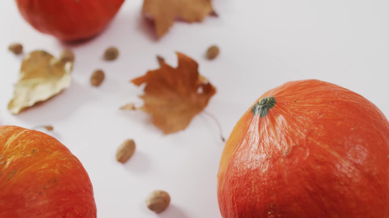 Video of pumpkins with acorns and autumn leaves on white background