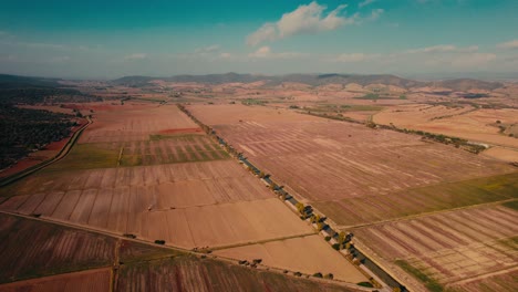 Vast-patchwork-farmland-under-clear-skies,-roads-intersecting-fields,-serene-rural-landscape,-daylight,-aerial-view