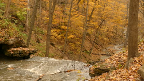 a beautiful shot of an autumn forest with a stream running through cascade and making a meditative sound