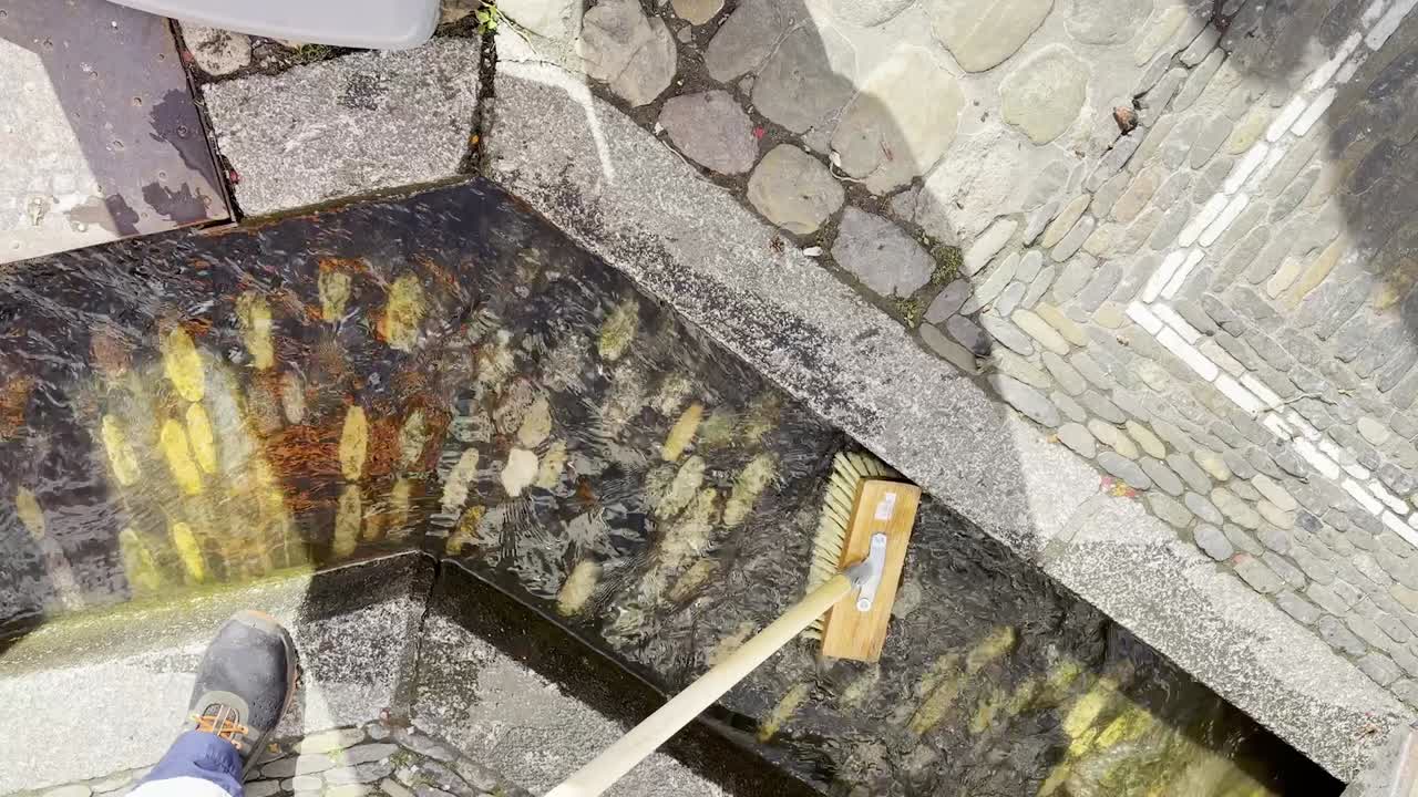 The Bächle in Freiburg is cleaned with a scrub brush; clear water flows through it, static shot