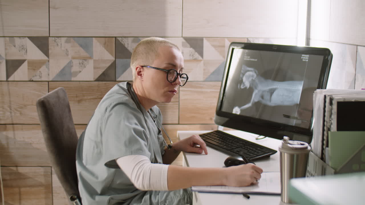 veterinaria que trabaja con rayos x en la clínica