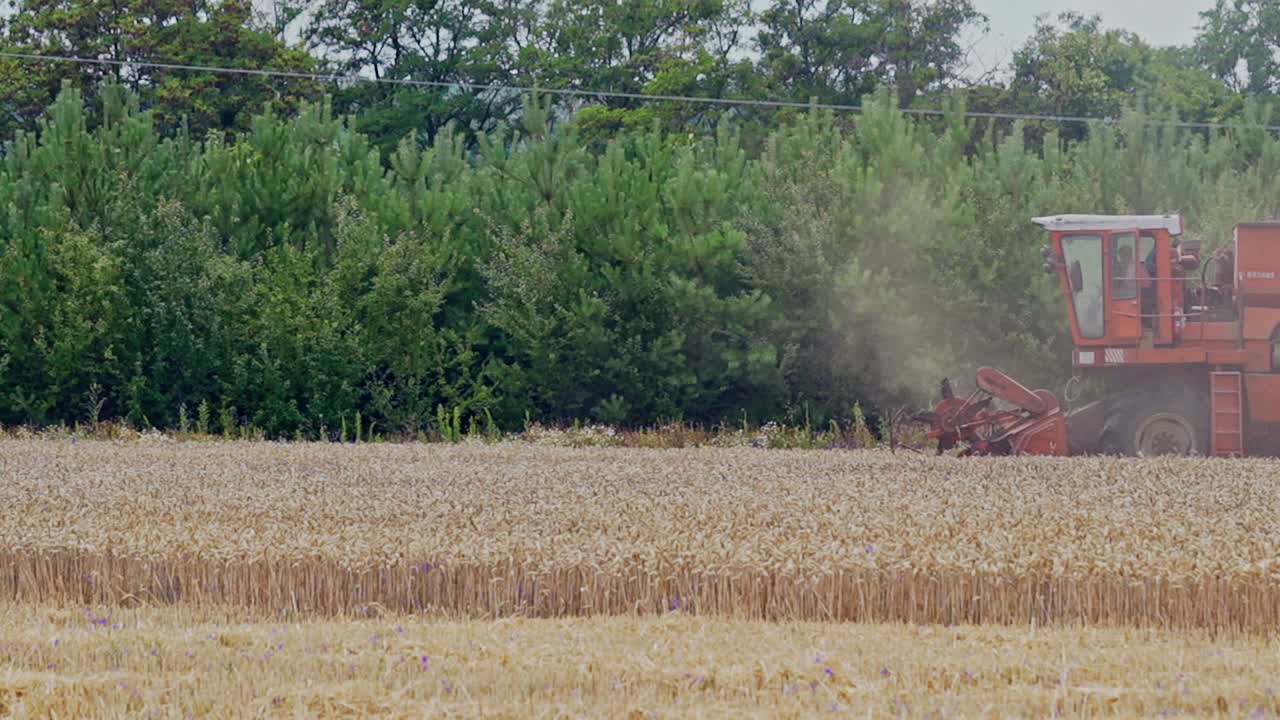 Wheat harvest. Combine harvester working on the wheat field. Food industry concept.