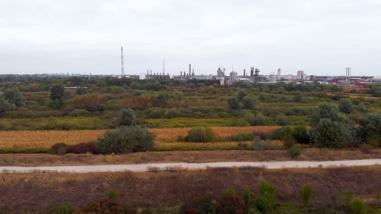 아름다운 화창한 날의 아름다운 농업 비디오