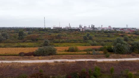 hermoso video agrícola durante un hermoso día soleado