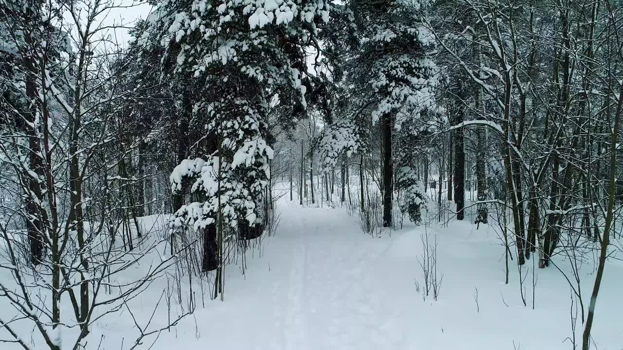 겨울 풍경. 공중 사진