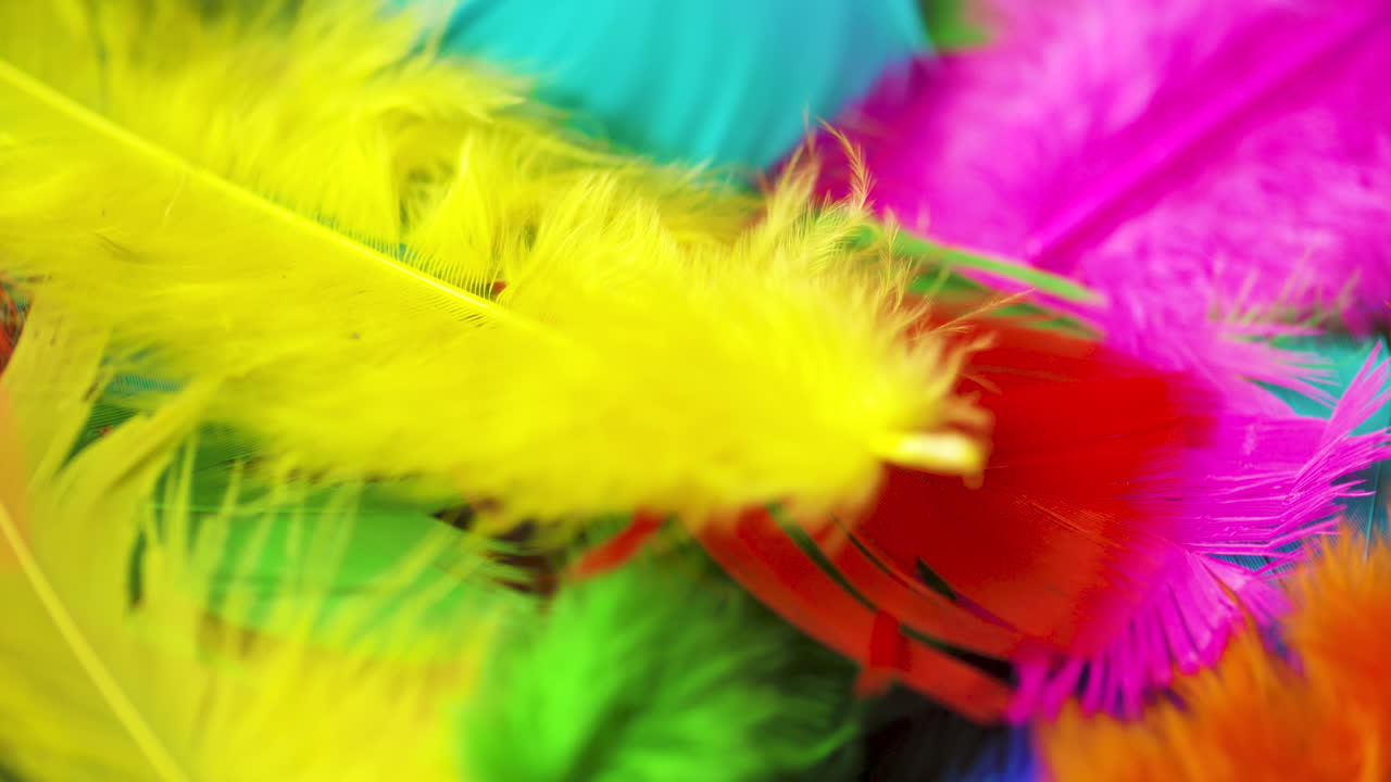 여러 가지 빛깔의 깃털의 회전 더미