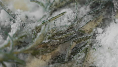 slow motion macro up close view of wooden spoon stirring and mixing white sugar and fresh green rosemary in glass bowl