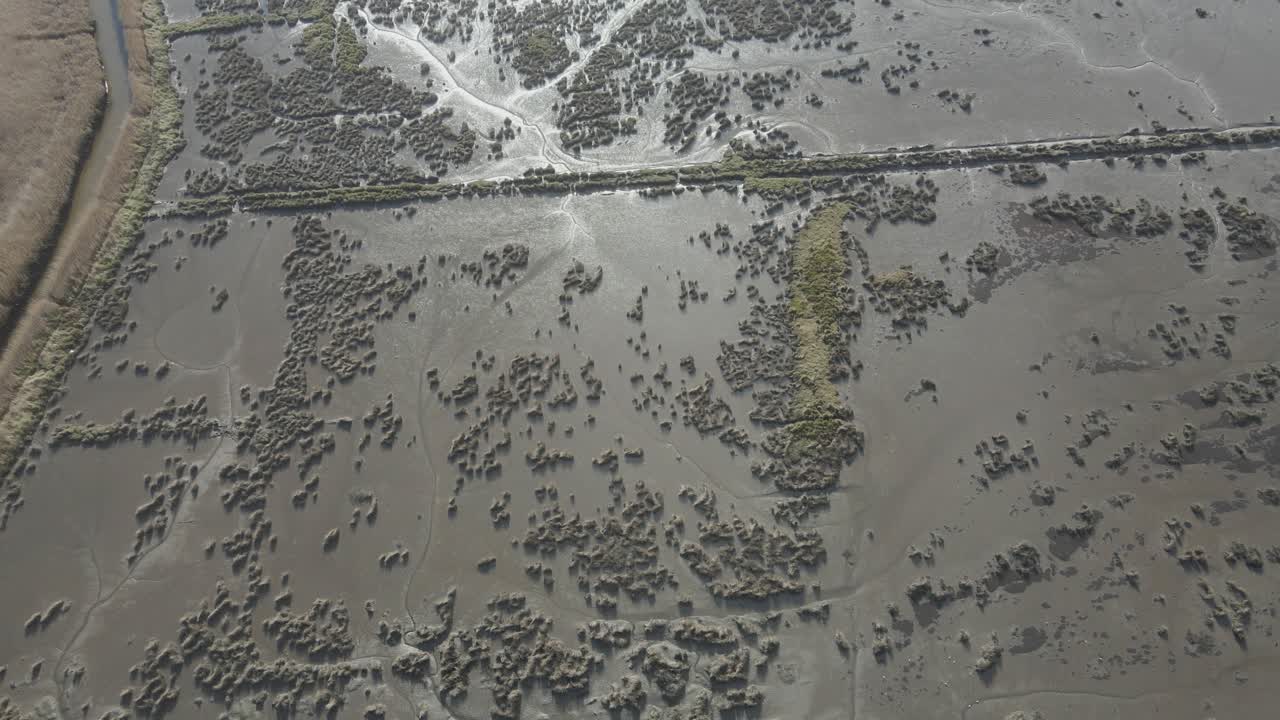 болотистая местность, заполненная ручьями с соленой водой