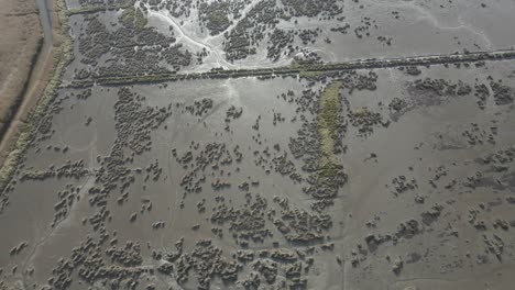 Zona-Pantanosa-Llena-De-Arroyos-De-Agua-Salada