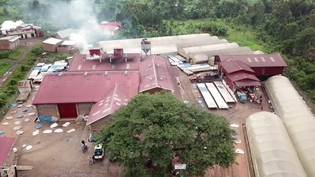 유명한 아라비카 커피 콩의 제조