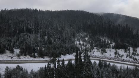 Winterwald-Mit-Straße