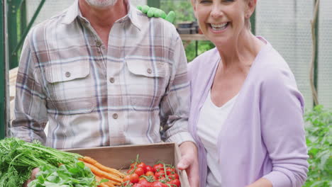 portrait of senior couple holding box of home grown vegetables in greenhouse