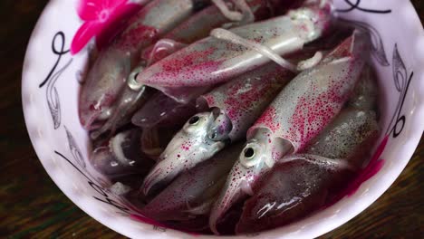 stunning sea squids changing color from a fishing batch