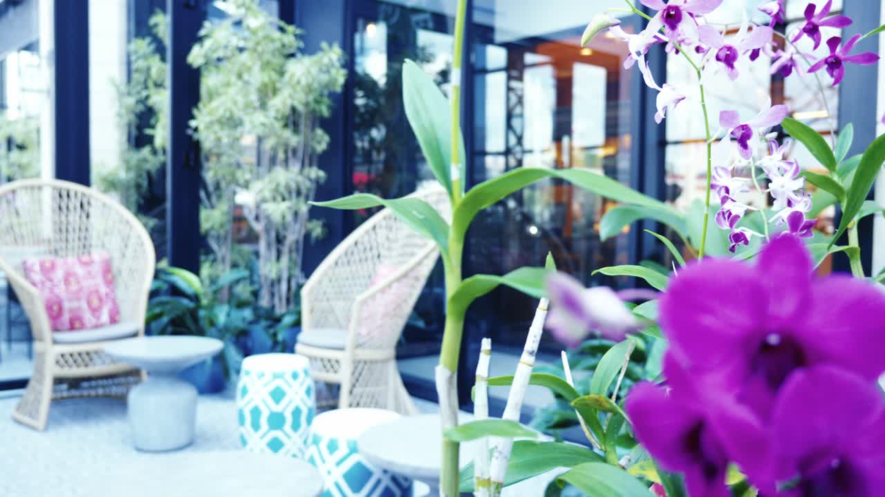 Nærbilde av blomstrende lilla orkidéblomster i en langstrakt plantekasse, med en lys hotellterrasse i bakgrunnen