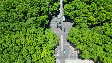 seen from above, several cars at an intersection on avenida da liberdade, the most luxurious avenue in lisbon. this avenue is covered by trees.lisbon,portugal