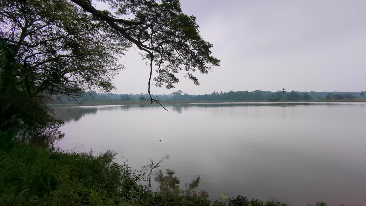 Scenic pan of big lake in grey foggy conditions in rural countryside of Sri Lanka