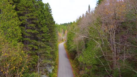 scenic autumn drive through forest