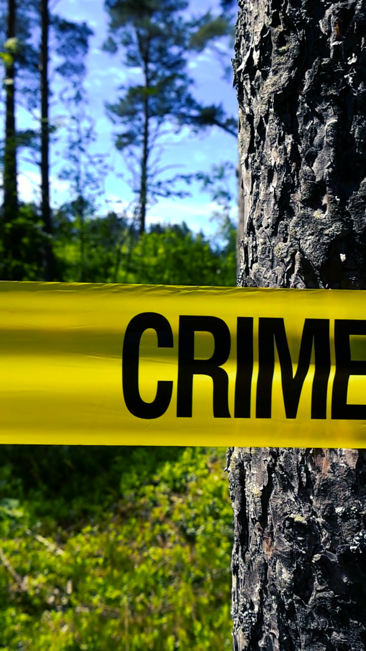 Bright yellow crime scene tape restricting access to an area under investigation in a sunlit pine forest, indicating a forensic examination site or a place where a tragic event occurred