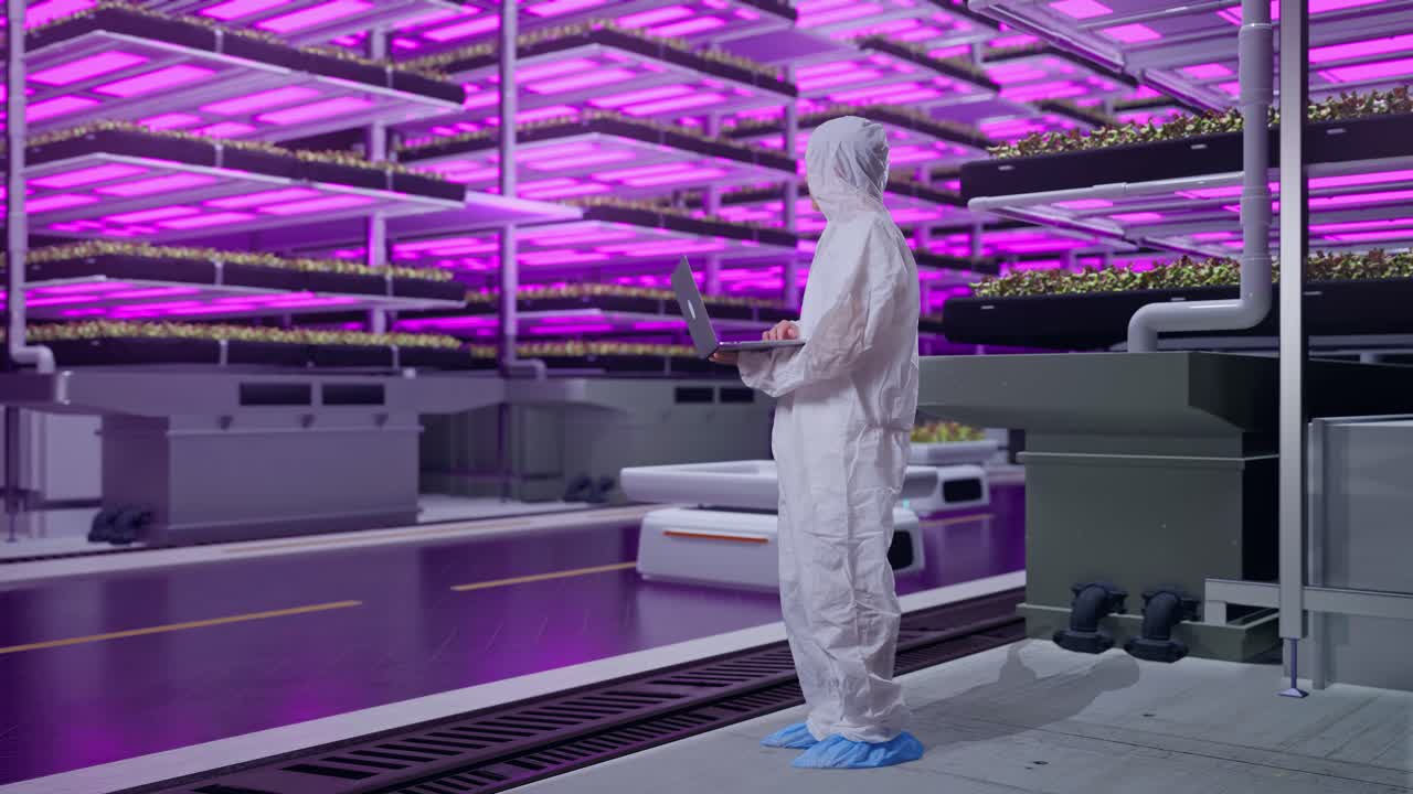 instalación de cultivo vertical con trabajador