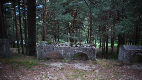 Una-Hilera-De-Viejos-Bloques-De-Hormigón-Al-Lado-Del-Camino