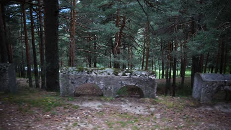 una fila de viejos bloques de hormigón al lado del camino.
