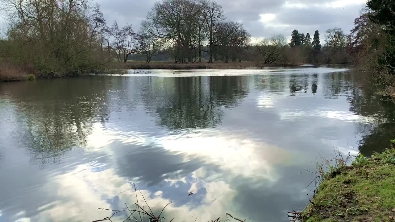 Scenic river flowing reflections from blue sky colourful foliage landscape