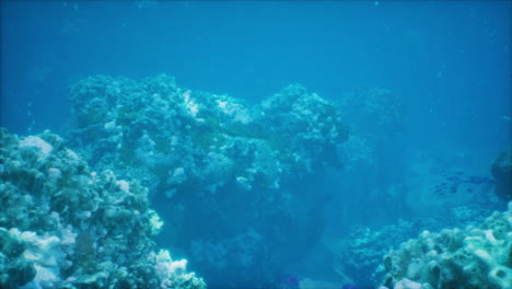 arrecife de coral lleno de peces coloridos en el fascinante mundo submarino