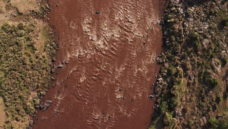 Toma-Aérea-Del-Paisaje-Del-Río-Masai-Mara,-Hermoso-Paisaje-Verde-Exuberante-De-Arriba-Hacia-Abajo-Vista-Vertical-De-Drones-En-La-Reserva-Nacional-De-Masai-Mara-En-Kenia,-áfrica,-Estableciendo-Una-Toma-Desde-Lo-Alto