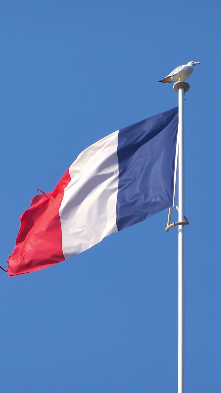 The flag of France waving with the blue sky on the background. Vertical