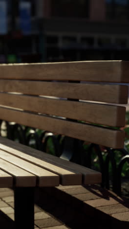 primer plano de un banco de madera en un parque de la ciudad