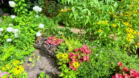 camera glides smoothly past vibrant summer flowers and lush greenery in a berlin garden, with bright natural daylight and vivid colors throughout