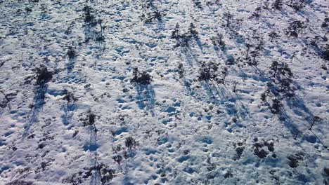 Vista-Aérea-De-Pájaros-Del-Paisaje-De-Pantanos-Nevados-Con-Senderos-Para-Caminatas-Y-Lagos-Congelados-En-El-Soleado-Día-De-Invierno,-Pantano-De-Turba-Dunika,-Disparo-De-Drones-De-Gran-Angular-Que-Avanza