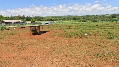 time-lapse of changing rural scenery over time