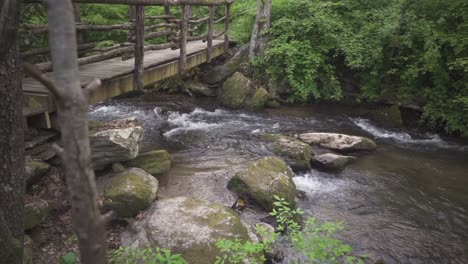 panning shot of a bridge and a river in a forest