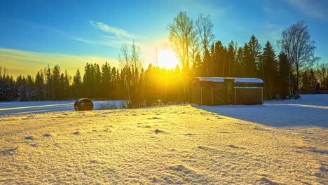 Rayos-De-Sol-Que-Retroiluminan-Los-árboles-Del-Bosque-Boreal-En-El-Paisaje-Del-Prado-De-Invierno