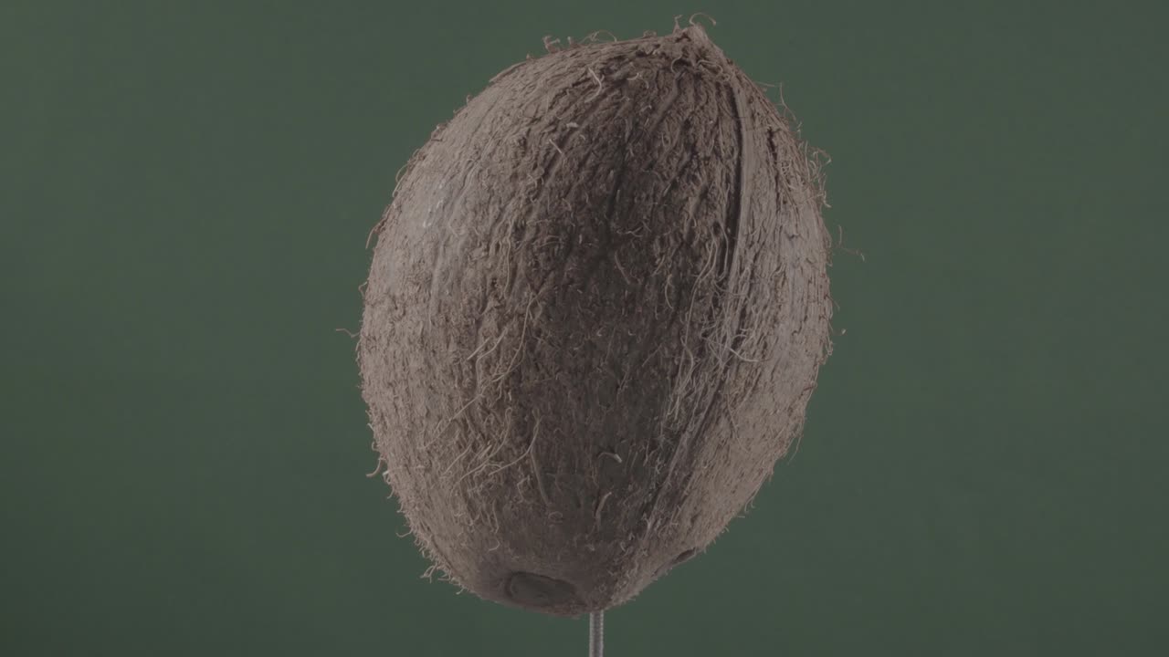 coco girando con bucle en la pantalla verde para la llave de croma