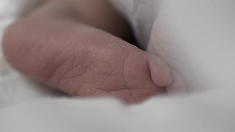 newborn baby foot. close up and static view