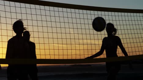 jugadoras de voleibol jugando al voleibol 4k